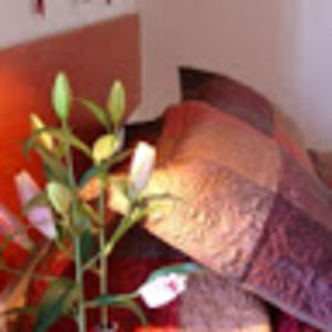 Meet your Posher, Carole